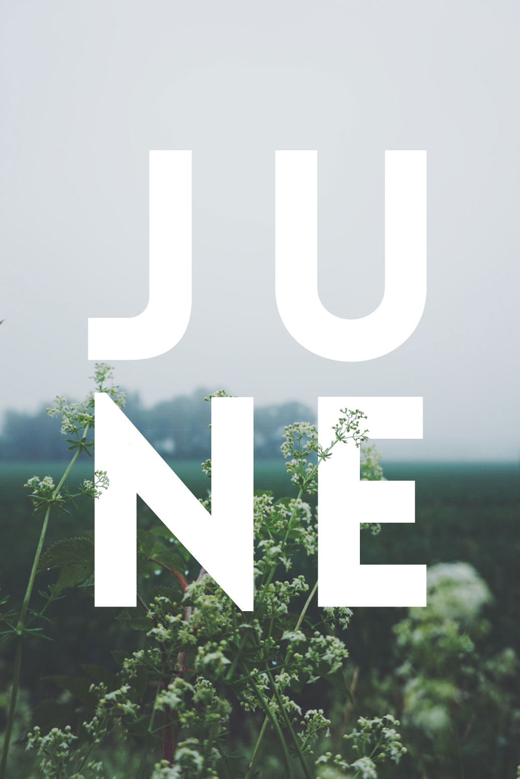 June_01